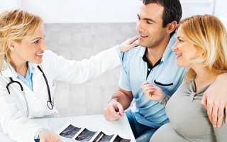 Сперматогенез