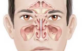 Носовая полость