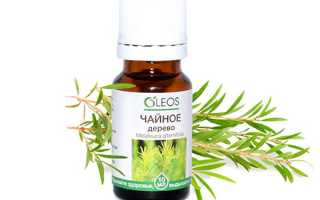 Масло чайного дерева для лица: применение от морщин, прыщей и других проблем кожи