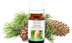Эфирное масло сосны: свойства и применение для разных типов кожи, рецепты красоты