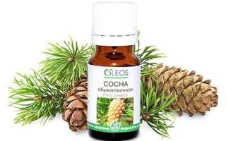 Эфирное масло сосны: свойства и применение для разных типов кожи, рецепты красоты