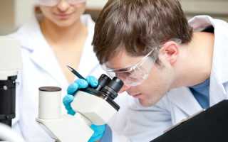 Бактериальное заражение мочеполовой системы