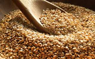 В чем польза кунжута для мужского организма
