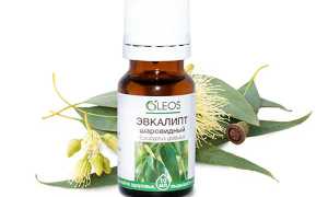 Польза эвкалиптового масла для красоты лица, секреты правильного применения