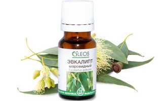 Польза эвкалиптового масла для красоты лица, секреты правильного применения