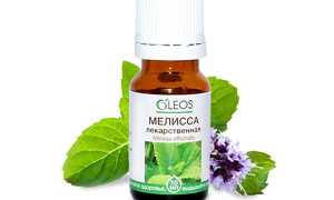 Масло мелиссы для лица: эффективные рецепты ухода за разными типами кожи