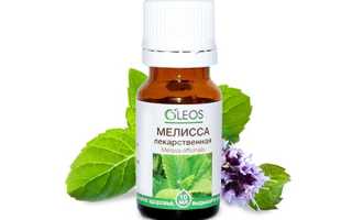 Масло мелиссы для лица: эффективные рецепты ухода за разными типами кожи