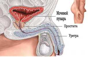 О чем говорит ощущение неполного опустошения мочевого пузыря у мужчин