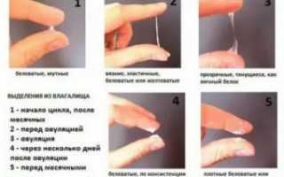 Выделения после ПА в середине цикла