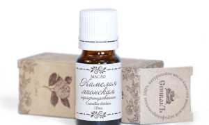 Масло камелии для лица: полезные свойства, отзывы об эффективности