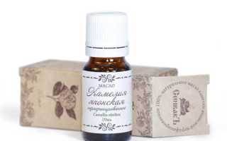 Масло камелии для лица: полезные свойства, отзывы об эффективности