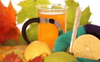 Встречаем грипп и ОРВИ. Профилактика народными и лекарственными средствами