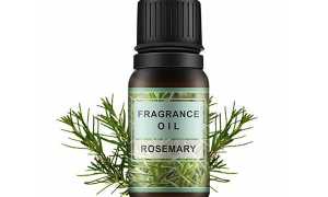 Масло розмарина для лица: применение от прыщей, при куперозе и других проблемах кожи