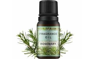 Масло розмарина для лица: применение от прыщей, при куперозе и других проблемах кожи