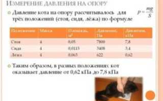 Почему в положении лежа и сидя давление разное?