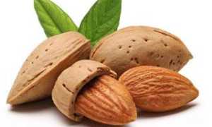 Какой пилинг лучше: миндальный или гликолевый, как выбрать подходящую процедуру