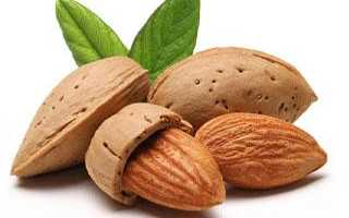 Какой пилинг лучше: миндальный или гликолевый, как выбрать подходящую процедуру