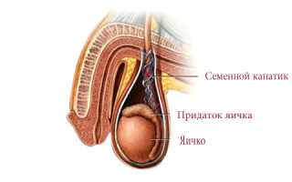Что такое фуникулит и методы его лечения