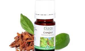 Сандаловое масло: свойства и применение для красоты лица, отзывы