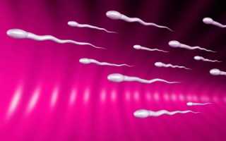 Реальные факты о застое спермы