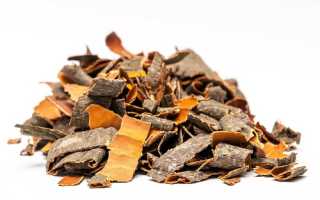 Осиновая кора – эффективное средство для поддержания мужского здоровья