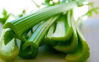 Чем сельдерей полезен для здоровья мужчины