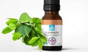 Камфорное масло: применение в косметологии для красоты лица, отзывы