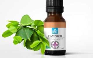 Камфорное масло: применение в косметологии для красоты лица, отзывы