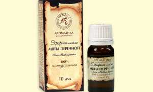 Масло мяты перечной для красоты лица: польза и способы применения в косметологии