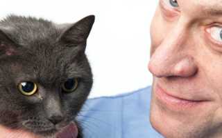 Рецепты лечебных средств против простатита, на основе луковой шелухи