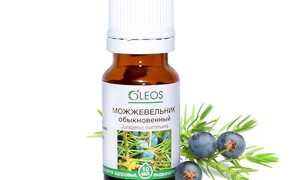 Масло можжевельника для лица: свойства и способы применения для продления молодости