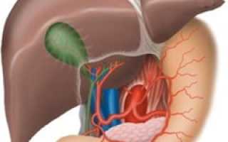 Киста печени