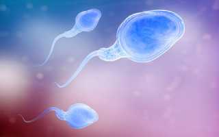 От чего зависит мужская фертильность и как ее повысить