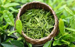 Зеленый чай на страже мужской потенции и не только