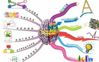 ФУНКЦИОНАЛЬНАЯ АСИММЕТРИЯ ПОЛУШАРИЙ БОЛЬШОГО МОЗГА
