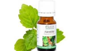 Масло пачули — эликсир молодости с Востока, как правильно его использовать