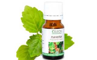 Масло пачули — эликсир молодости с Востока, как правильно его использовать