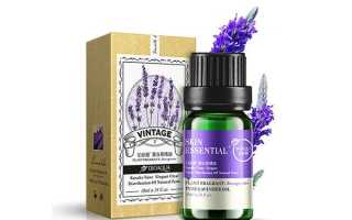 Масло лаванды для лица: способы применения средства для красоты кожи разных типов