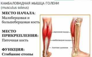 Как лечить растяжение камбаловидной мышцы?