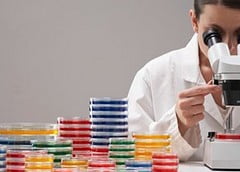 Анализ крови на краснуху