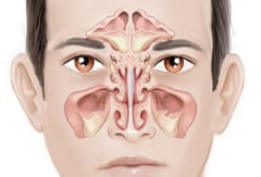 Носовая полость