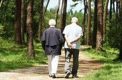 Основные профилактические мероприятия инсульта