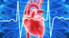 Сосудистая недостаточность