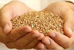 Pol'za grechnevoj kashi