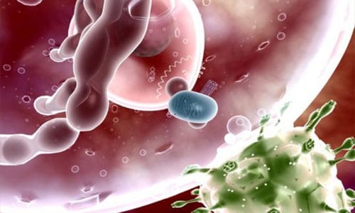 Вирус папилломы