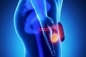 Особенности строения