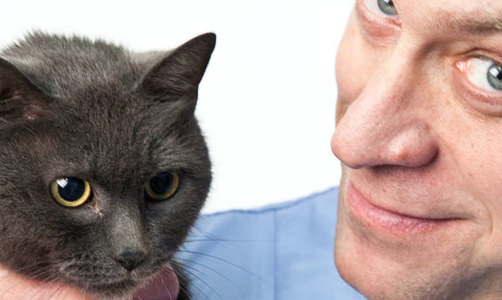 Серый британец