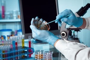 Лаборатория