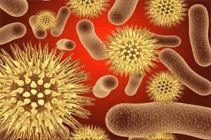 Микроорганизмы