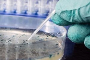 Лабораторное исследование Лабораторное исследование